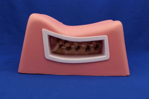 Simulatore didattico - MISPIN - Créaplast - per chirurgia mini-invasiva / per chirurgia del rachide / di torso