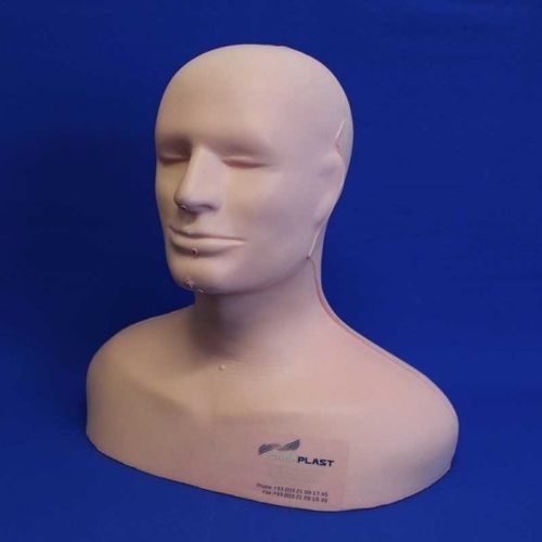 Simulatore didattico - CM00 - Créaplast - per chirurgia del rachide / parte superiore del corpo