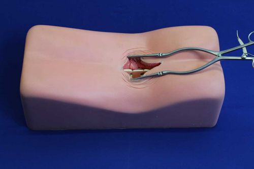Simulatore di paziente per chirurgia del rachide - LM00 - Créaplast - di torso
