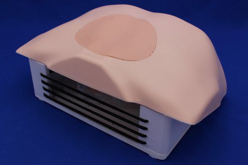Simulatore per puntura - SIMPOST - Créaplast - per biopsia / per assistenza generale
