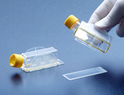 Matraccio per coltura cellulare - Clipmax  - TPP Techno Plastic Products - in vetro