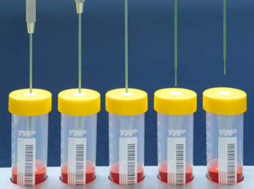 Microprovetta da laboratorio - TubeSpin® Bioreactor 50  - TPP Techno Plastic Products - cilindrica / per coltura cellulare / sterile