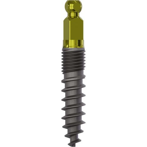 impianto dentale conico - Champions Implants GmbH