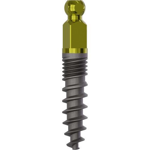 Impianto dentale conico - 1900 - Champions Implants GmbH - in titanio / sferico / dritto