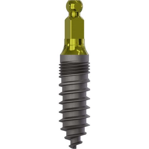 Impianto dentale conico - 2025 - Champions Implants GmbH - in titanio / sferico / dritto