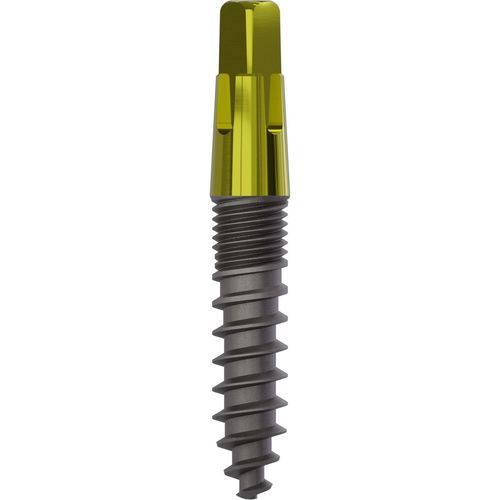 Impianto dentale conico - 1040 - Champions Implants GmbH - in titanio / quadrato / dritto