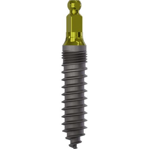 Impianto dentale cilindrico - 2070 - Champions Implants GmbH - in titanio / sferico / dritto