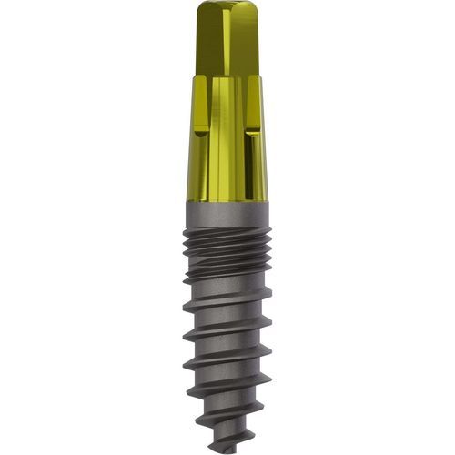 Impianto dentale conico - 1020 - Champions Implants GmbH - in titanio / dritto