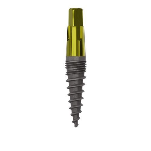 Impianto dentale conico - 1055 - Champions Implants GmbH - in titanio / dritto