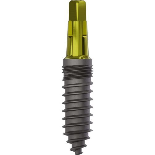 Impianto dentale conico - 1100 - Champions Implants GmbH - in titanio / dritto