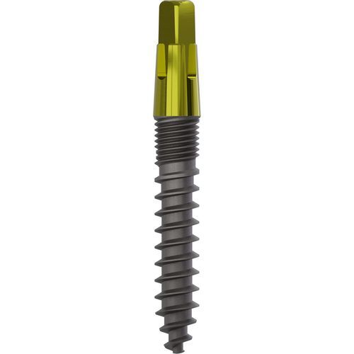Impianto dentale conico - 1120 - Champions Implants GmbH - in titanio / dritto