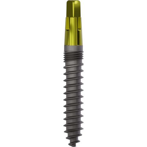 Impianto dentale conico - 1160 - Champions Implants GmbH - in titanio / dritto