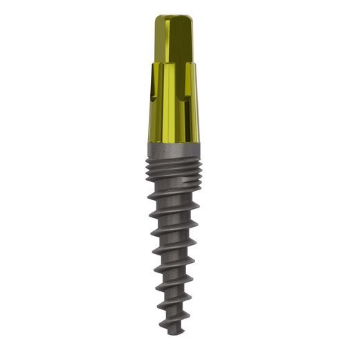 Impianto dentale conico - 1025 - Champions Implants GmbH - in titanio / dritto