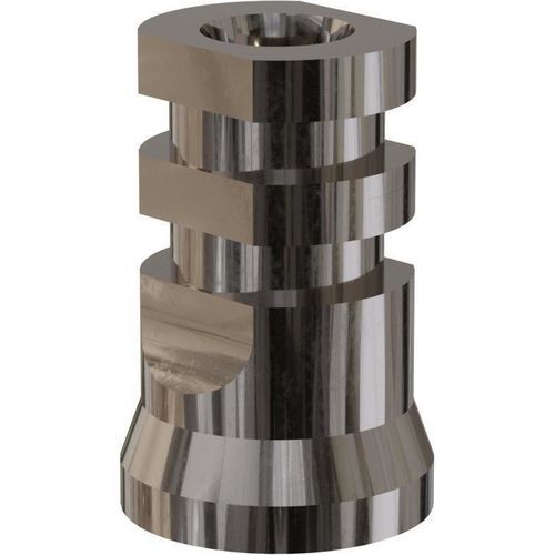 Coping di impronta multi-unità - 31222 - Champions Implants GmbH