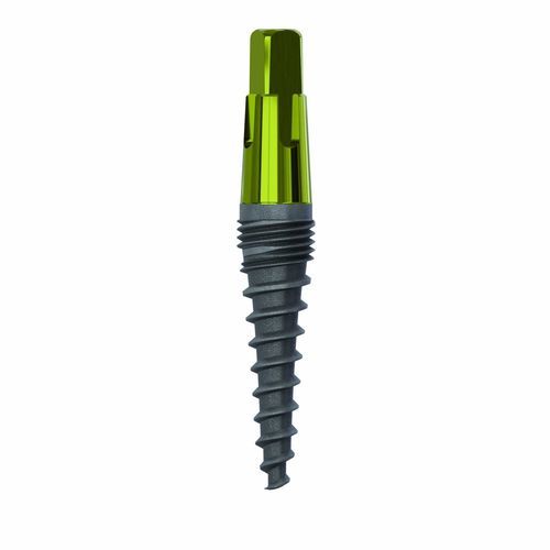Impianto dentale conico - 1095 - Champions Implants GmbH - in titanio / dritto