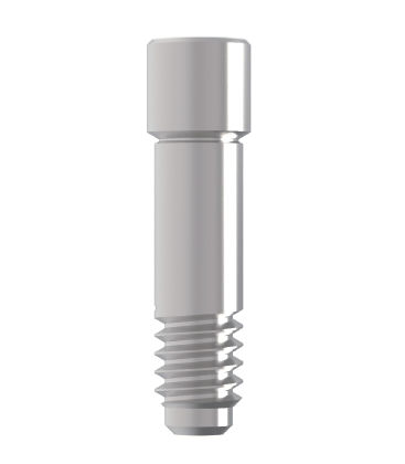 Pilastro dentale per impianto in titanio - screw - Cowellmedi - esterno / dritto / a vite