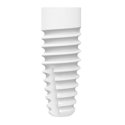 Impianto dentale cilindrico - ZERAMEX® XT  - Dentalpoint AG - in ceramica / in diossido di zirconio / interno