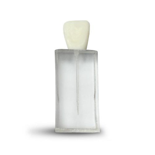 Modello anatomico odontoiatrico - E07/C - GF DENTAL - per endodonzia / didattico / bianco