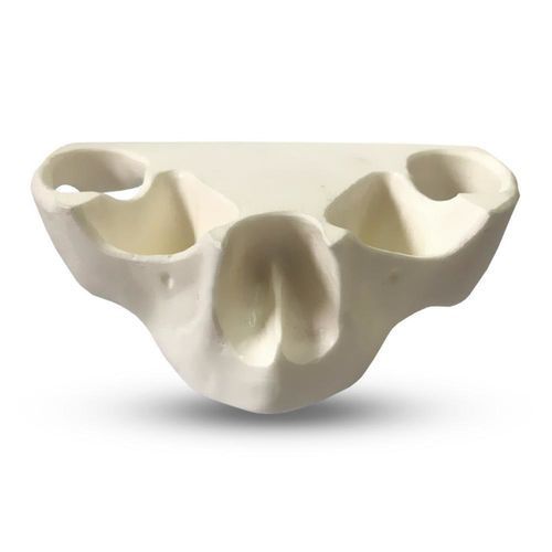 Modello anatomico di sierosa - E36/N - GF DENTAL - di seno nasale / osseo / di mandibola
