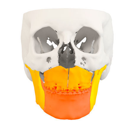 Software di visualizzazione 3D - Global D - di trattamento / di pianificazione / di acquisizione