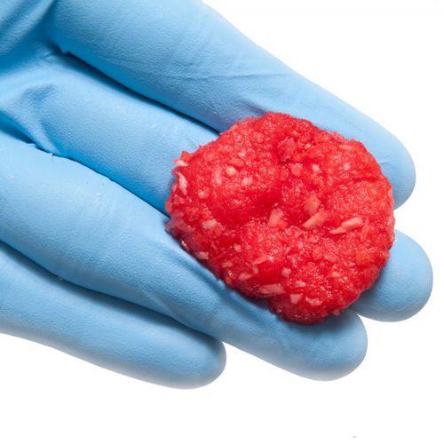 Sostituto osseo allotrapianto - BioAdapt® DBM - RTI Surgical - per chirurgia ortopedica / conformabile