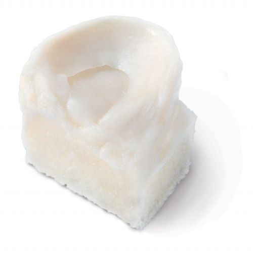 Protesi meniscale allotrapianto - BioCleanse®  - RTI Surgical