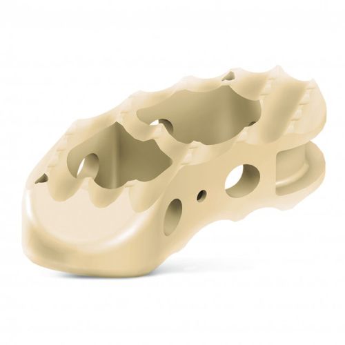 Gabbia intersomatica lombare - T-Plus™ - RTI Surgical - via transforaminale / in PEEK