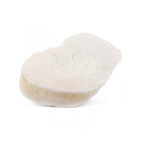 Sostituto osseo allotrapianto - AlloWedge® - RTI Surgical - per chirurgia ortopedica / rigido