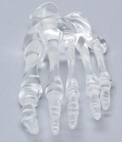 Modello anatomico osseo - 1701-90  - Sawbones/Pacific Research Labs - di piede / ad uso didattico / in plastica