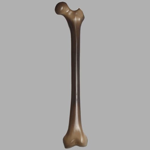 Modello anatomico osseo - 3403 - Sawbones/Pacific Research Labs - di femore / ad uso didattico / per test biomeccanici