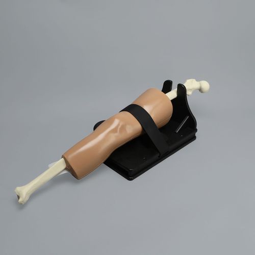 Simulatore didattico - ALICE Knee - Sawbones/Pacific Research Labs - di valutazione / per assistenza generale / di anatomia