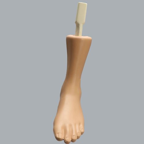 Modello anatomico osseo - Able Advanced - Sawbones/Pacific Research Labs - di caviglia / didattico / per artroscopia