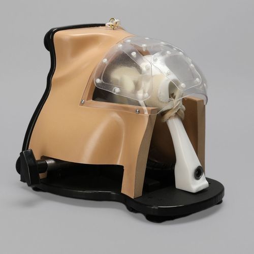 Simulatore didattico - Alex III - Sawbones/Pacific Research Labs - per artroscopia / di anatomia / di spalla