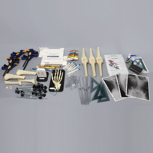 Simulatore didattico - Orthopaedics in Action® - Sawbones/Pacific Research Labs - per chirurgia / di anatomia / per scoliosi