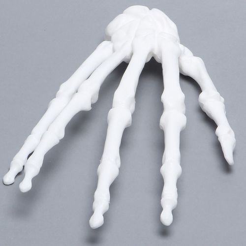 Modello anatomico di mano - 1016-21 - Sawbones/Pacific Research Labs - di radio / in plastica / bianco