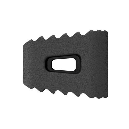 Gabbia intersomatica cervicale - MATISSE NITRO™ - CTL Medical Corporation - via anteriore