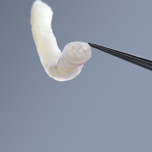 Matrice tissutale nervosa - avance® - AxoGen - allotrapianto