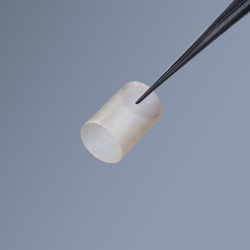 Matrice tissutale nervosa - axoguard ® - AxoGen - xenotrapianto