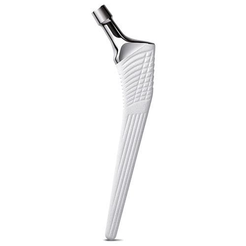 Stelo femorale di revisione - CINEOS® H - X-NOV Medical Technology - non cementato