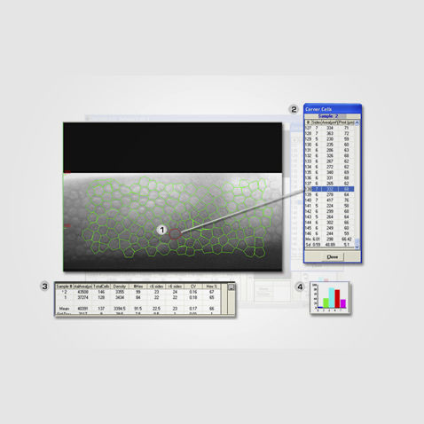 Software di analisi - CAS/CL - HAI Laboratories - di ottimizzazione delle immagini / di importazione d'immagini mediche / di calibrazione