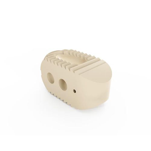 Gabbia intersomatica lombare - 100 series - South America Implants - via posteriore / in PEEK