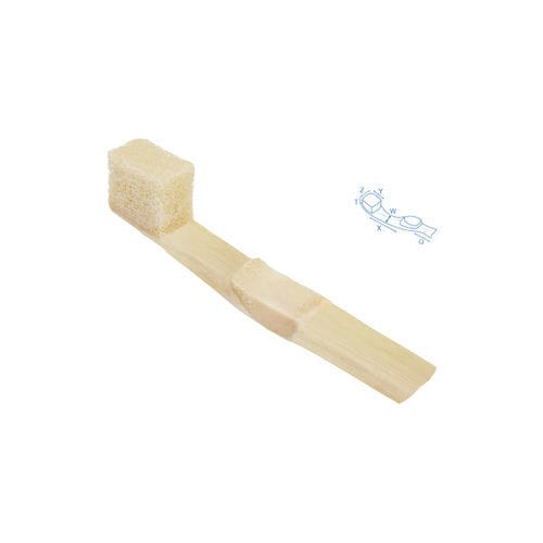 Protesi di legamento legamento rotuleo - SteriGraft® - Bone Bank Allografts - tendine tibiale / allotrapianto