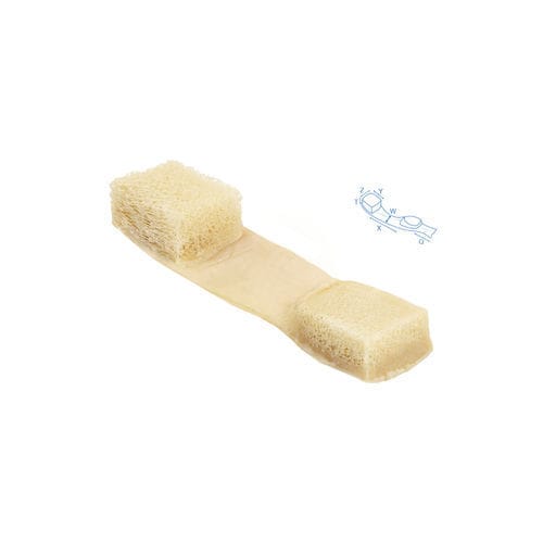Protesi di legamento legamento rotuleo - 890 - Bone Bank Allografts - tendine tibiale / allotrapianto