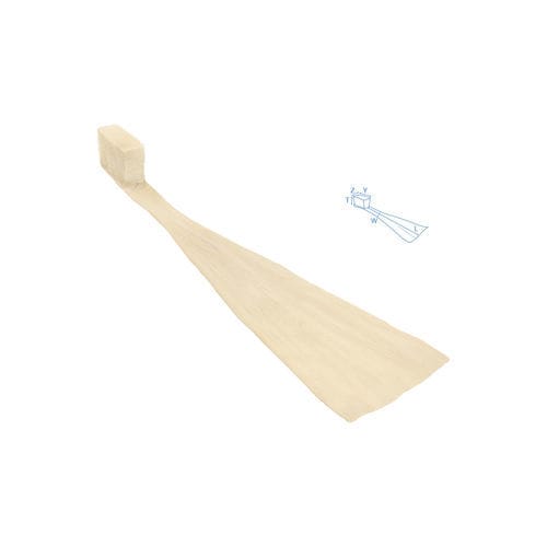 Protesi di legamento tendine calcaneale - SteriGraft®  - Bone Bank Allografts - allotrapianto