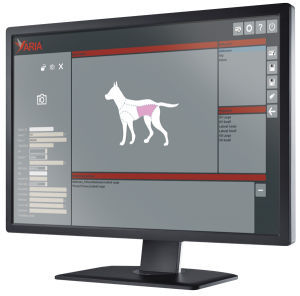 Software per radiologia veterinaria - Aria  - Foschi - di gestione / di visualizzazione / diagnostico