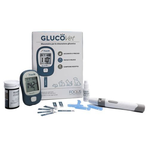 Glucometro automatico - Foschi - veterinario