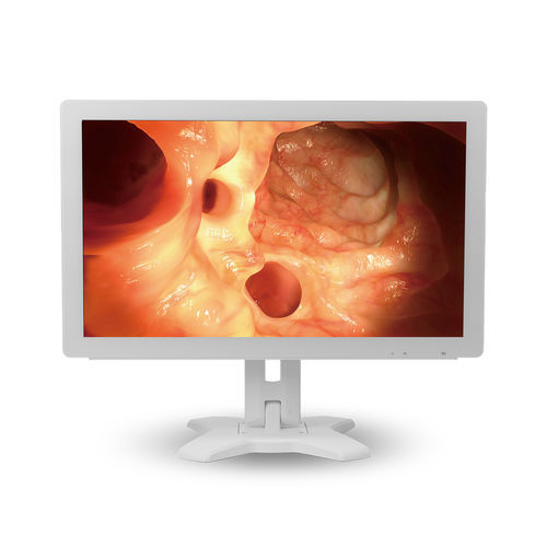 Monitor medico - MMS-21C series - BriteMED Technology - per endoscopia / Full HD / VGA