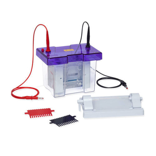 Sistema di elettroforesi per proteine - VS10 - Cleaver Scientific - verticale / da banco