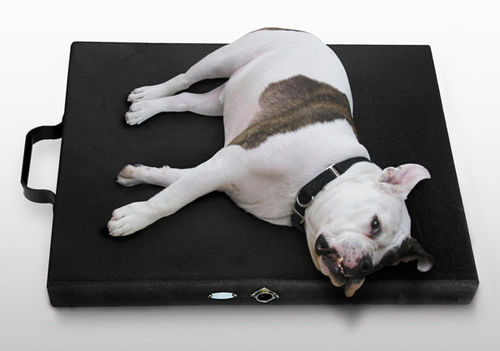 Unità di magnetoterapia canina - Centurion Kennel  - Centurion Systems - materasso
