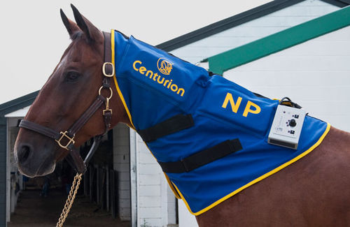 Unità di magnetoterapia per equini - Neck Piece - Centurion Systems - indossabile
